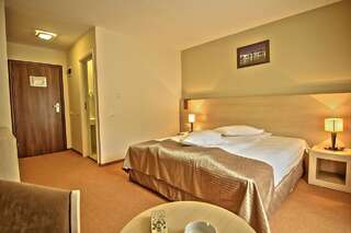 Отель Hotel Escalade Пояна-Брашов Представительский двухместный номер с 1 кроватью или 2 отдельными кроватями 4****-6